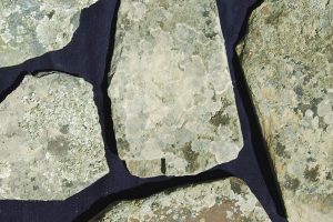 Piedra Musgo