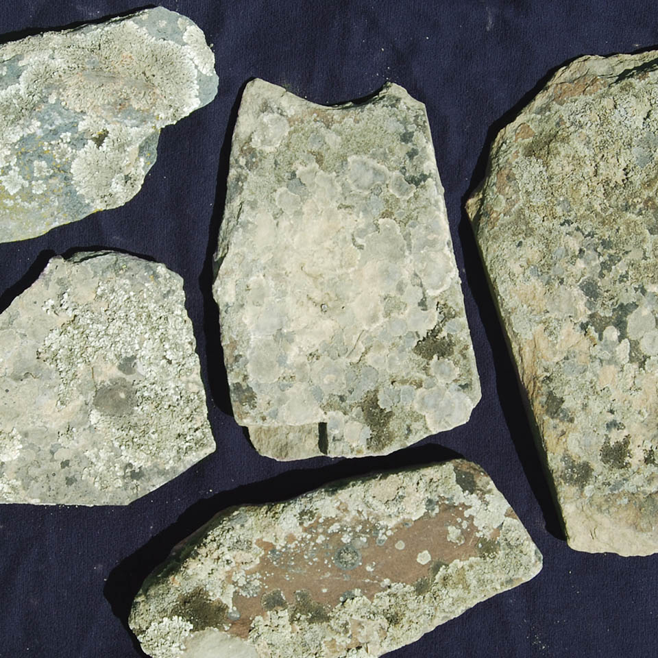 Piedra Musgo