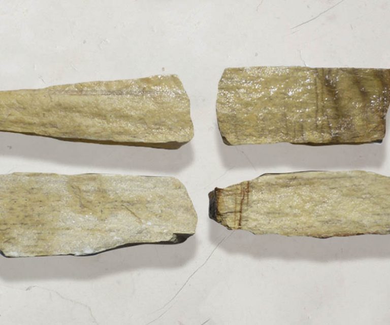 Taco Mampostería Amarillo