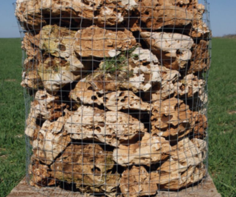 Jardinería – Rocalla